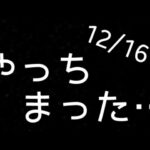 【パズル＆サバイバル】【スピトラパーティー】12/16 スピトラパーチー(ง🕶)ว٩(🕶)۶    やらかした…夜