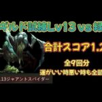 【ギルド試練Lv13 対緑】全９回分動画　1.2億ポイント【パズル&サバイバル】