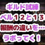 【パズサバ】ギルド試練　敵のレベル１２と１３の報酬の違い