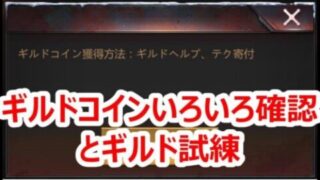 パズサバ配信90 – ギルドコインいろいろ確認とギルド試練