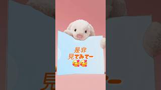 ❀ゆずちゃ3位!!周年イベントの画像投稿❀#パズル&サバイバル#パズサバ#ゲーム#パパラッチミキ#イベント#イベント攻略#周年イベント