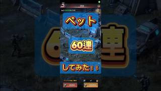 掛け声しながらペット60連してみた♪♪#パズル&サバイバル#パズサバ#ゲーム#パパラッチミキ#イベント#イベント攻略#ペット#ペットガチャ
